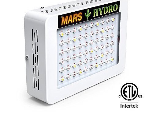 Intertek led deals lamp